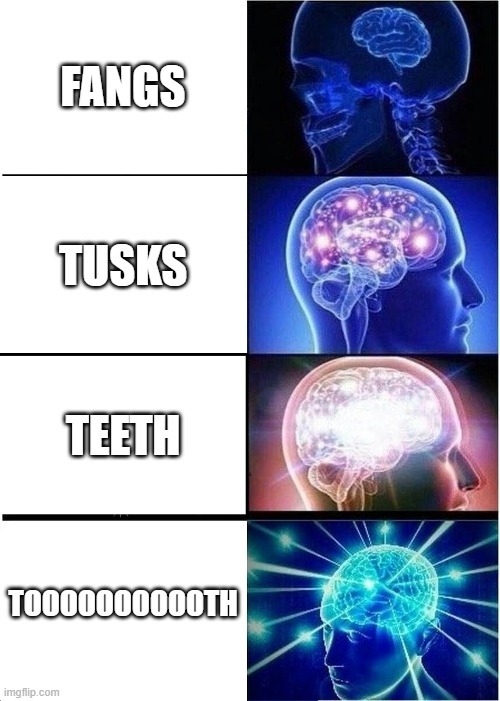 Brain Toshies Meme