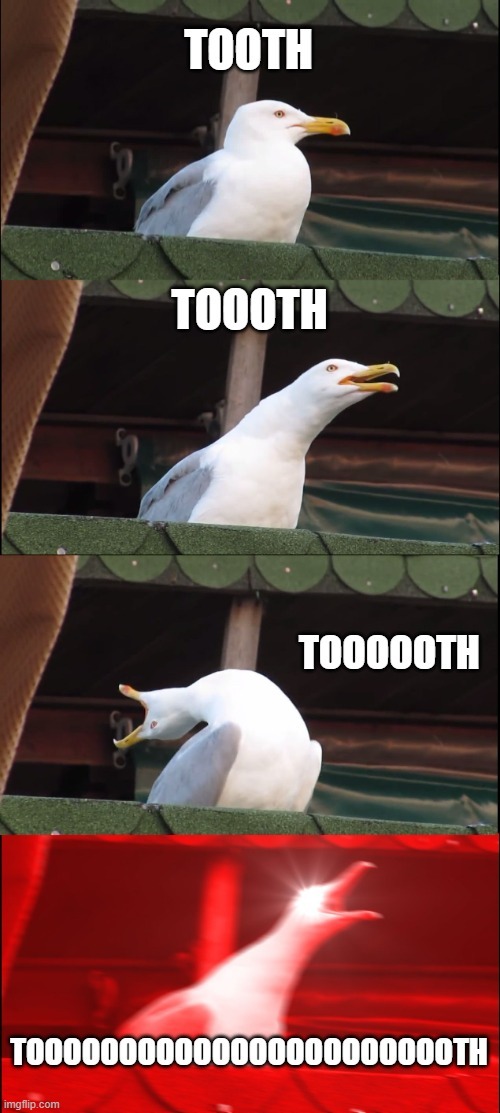 Seagul Toshies Meme
